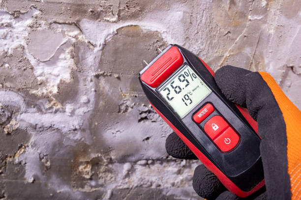 Best Mold Removal Company Near Me  in Junction City, CA