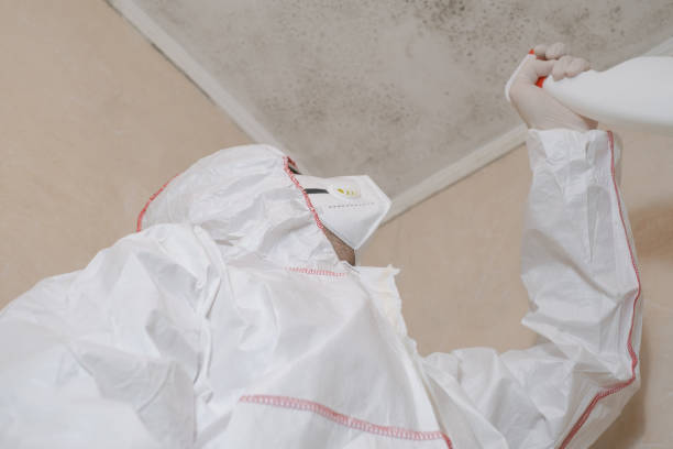 Best Mold Remediation Services  in Junction City, CA