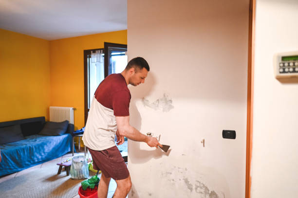 Best Home Mold Removal  in Junction City, CA